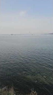 California Dreaming(Single version), vocal,song,music, beauty, sea,seaside