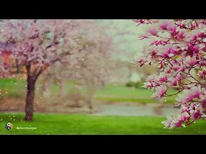 Musique Relaxante De Piano et Violon AuVoix Ethérée Célébrant, Le Printemps Pour Votre Bien-être