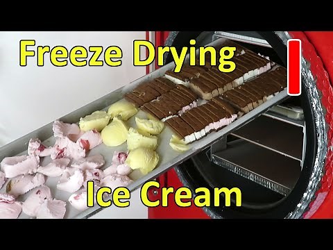 Freeze Drying Ice Cream & Ice Cream Sandwiches