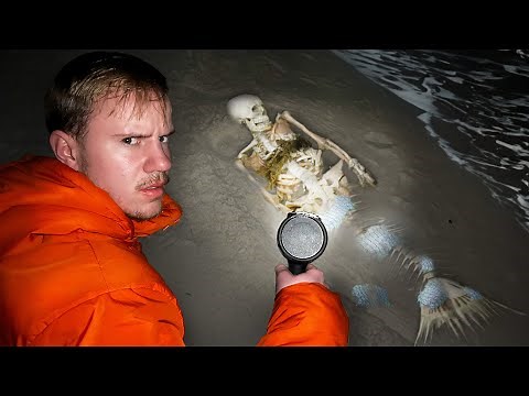 Are Mermaids Actually Real?