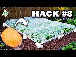 8 Potato Growing Hacks That Actually Work 🥔💯