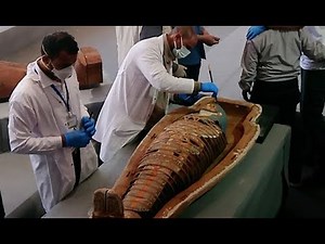 ミイラ１００体以上発見 未盗掘で保存状態良好 エジプト