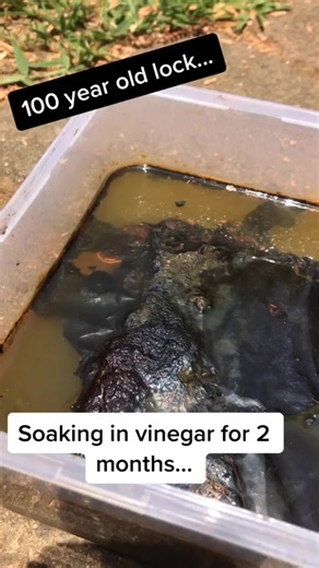 Antique lock conservation... time for something new, CLR rust remover. Let’s see how this goes! #fyp #foryoupage #foryou #metaldetecting #australia