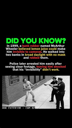 CRAZY Bank Robber Thought LEMONS make you INVISIBLE 🤦‍♂️