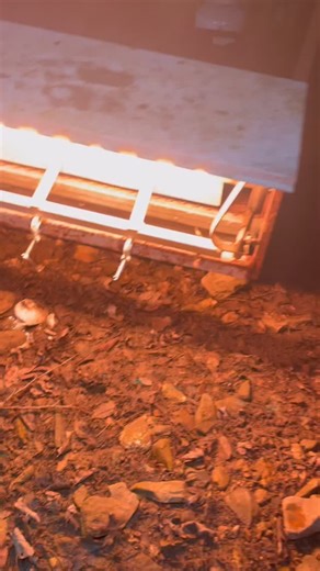 Broke out the lights and went old school on’em last night on the river bank! @bassproshops @cabelas @fenixlightingus @ | Jeremy Lawyer Fishing