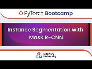 Pytorch Bootcamp for Beginners - 9 | Instance Segmentation with Mask RCNN