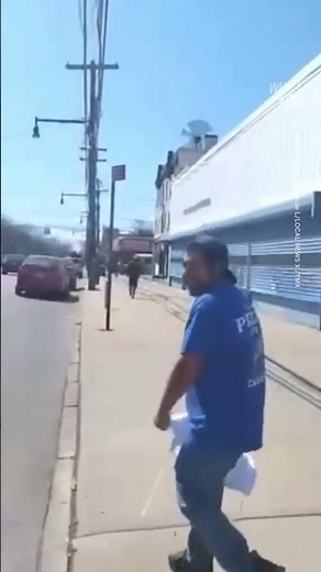 Cow Escapes From Slaughterhouse in Brooklyn