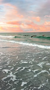 Looks like YOU need to plan a trip to paradise 🌴🌴s~ Longboat Key, Florida | Follow Me To Longboat Key