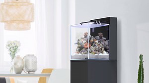 UPGRADE Nano Marin Aquarium – now with EASY LED UNIVERSAL 2.0 SW. This LED light unit has two independent light channels. Use it with the Luminus – Smart LED Controller (not included). https://www.aquatlantis.com/en/products/marin-40.html | Aquatlantis Aquarium