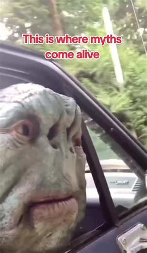 #cryptozoology #cryptid #mysterious #creatures #unknownspecies | mythical creatures