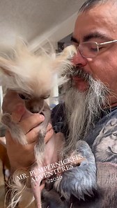 Mr. Pumpernickel - I am showing dad the little bump on my leg - good news it is not an allergic reaction..Yay… | Mr. Pumpernickel’s Adventures