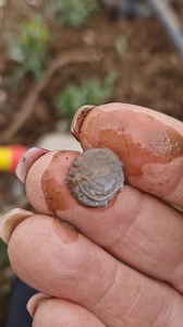 Woohoo! 🥳 Tiny hammered coin up using my Deus2, V4.0 & stereo headphones 🎧 💥 #metaldetectinguk #xpmetaldetectors #regton #metaldetectingfinds #metaldetector @highlight Regton Ltd XP Metal Detectors | Joanne Shepheard