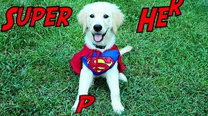 Crying Baby Superheroes in Real Life Superman and Wonder Woman SILLY BIG HEAD CRYING BAB