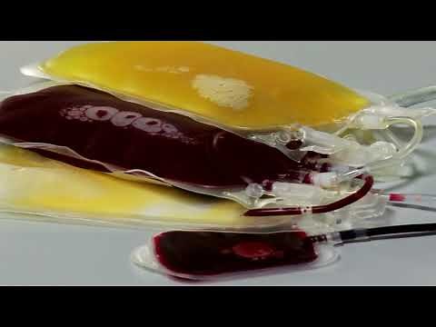 Reveos Automated Blood Processing System: How it works