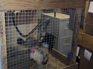 20 reactions · 4 comments | HUMBLE PERFORMANCE on Reels | Facebook