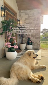 729K views · 11K reactions | Slow mornings are my favorite! Especially sitting on the porch swing with a book & a cup of coffee! The weather has been warming up& the quiet mornings are so relaxing!❤️❤️#outdoorliving #countryliving #countrylife #simpleliving #home #cottagecore #countryhome #simplelife #slowmorning #slowliving | Our Winton home | Facebook