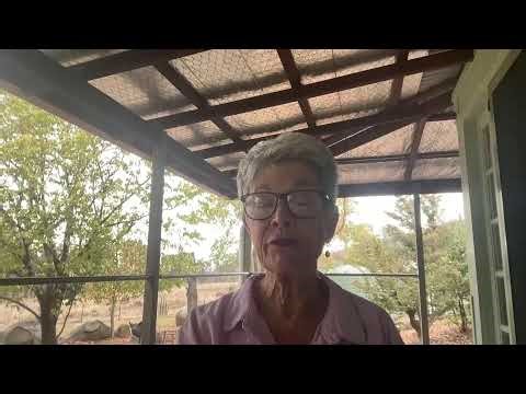 Your Gut Feeling Is Real: The Science Behind Intuition