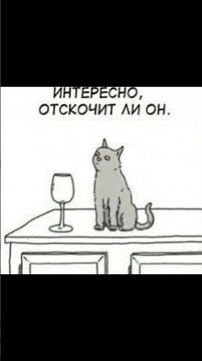 About a vegan plant and a cat