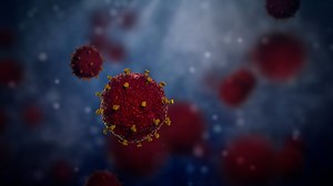 US monkeypox cases decline, hit lowest level since June: CDC