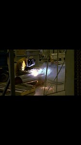 “Everybody knows that steel Is an inorganic material; it’s dug up from the earth and used by technology for armaments or machinery or building or whatever. But, I work it in an organic context and people say “Oh it looks so alive. It looks like a plant” or it looks like this or it looks like that. Now, what happens, which is definitely part of the human condition, is that you know something is not alive, you know it’s inorganic, but you’re experiencing the vitality of life. So you’re dealing wit