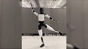 Tesla's Optimus Robot Busts Ballet Moves In Viral Video: WATCH