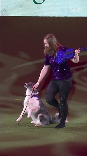 Plucking Our Heart Strings | Crufts 2024