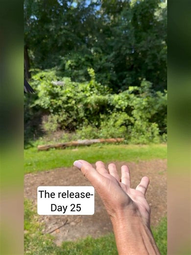 24K views · 737 reactions | How it started… how it’s going- Watching...