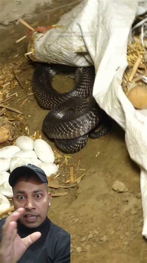 saat Ka anda #cyborg