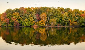Where To See Fall Colors In Raleigh & The Triangle Region | This Is Raleigh