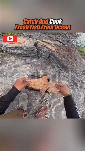 Catch & Cook Fresh Ocean Fish | Wild Shore Fishing