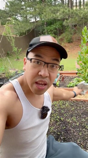 Chaos Gardening! #garden #tips