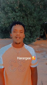 Harargee | Sulee Man