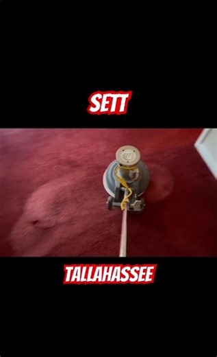 Revitalized old carpet using 6 step process! SETT/ DISE