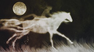 The Comanche and the Horse | Native America