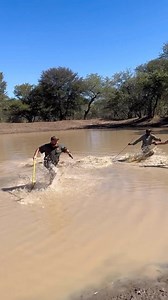 Man vs Croc👀 When think is dead is not dead😅, luckily everyone was safe and nobody got hurt. Go have a look at @jatavu_safaris 🐊 Follow @killshot.hunting | KillShot Hunting