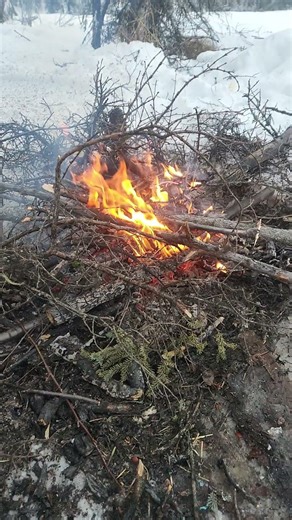 Slow Motion Fire #beaverretriever #alaska #wintercamping