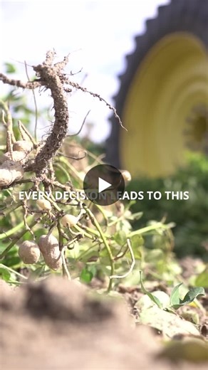 #farming #ag #peanuts #agriculture #farmreels #greenpointag #cropprotection | GreenPoint Ag