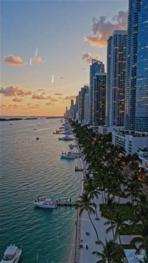Miami's hidden gems you didn't know about #travel #miami #shorts