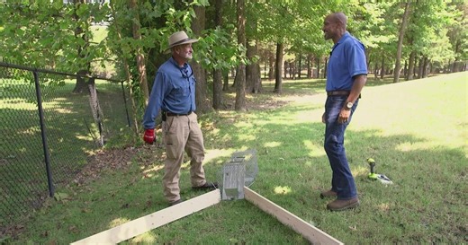 The Family Plot:Building a Winged Armadillo Trap & Monarch Butterflies Season 16 Episode 23