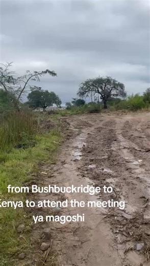 Moshoti Marula Tshipi (@moshotitheking)’s videos with KGOSHI MOLETELA - Moshoti the king