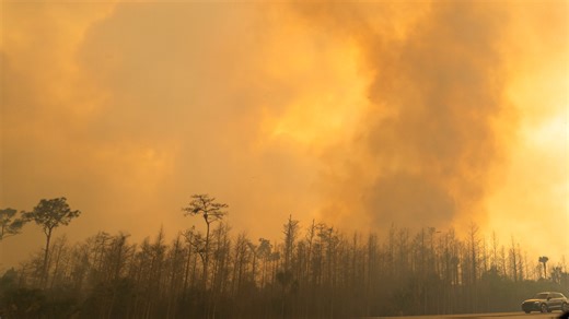 Florida's Big Cypress fire rages on. Is Alligator Alley open?