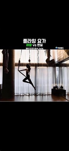 플라잉요가 이상vs현실