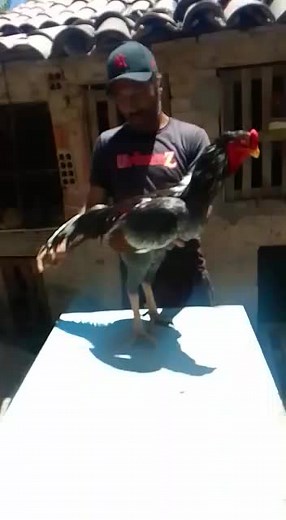 Os vídeos de davidL_22 (@ksuhwkd) com Original Sound - Unknown