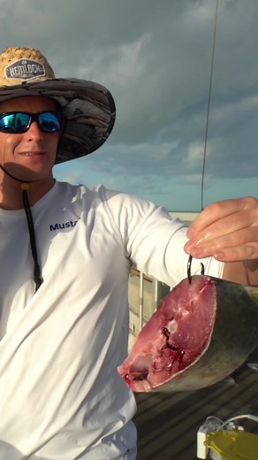 978K views · 10K reactions | Roadside bridge monster #fishing #shark #bullshark #floridakeys #bridgefishing #nature #ocean #catchandcook | Landshark Outdoors | Facebook