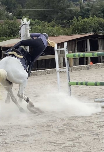 Hilarious Horse Showjumping Fails Compilation