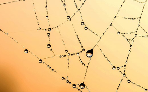 Python-BeautifulSoup4-第一课