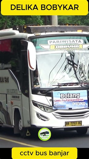 delika trans bobykar #busmania #automobile #basuri