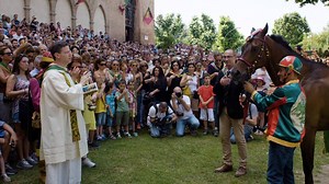 21K views · 258 reactions | The Palio of Siena is the life of the...