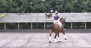 Simple, flying & tempi changes