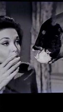 Sam Working Overtime #shorts #bewitched #short #samantha #shortvideo #youtubeshorts #witch #funny